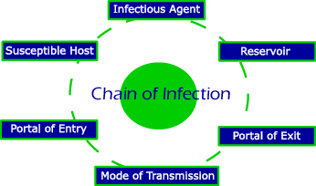 Image:Chainofinfection.jpg