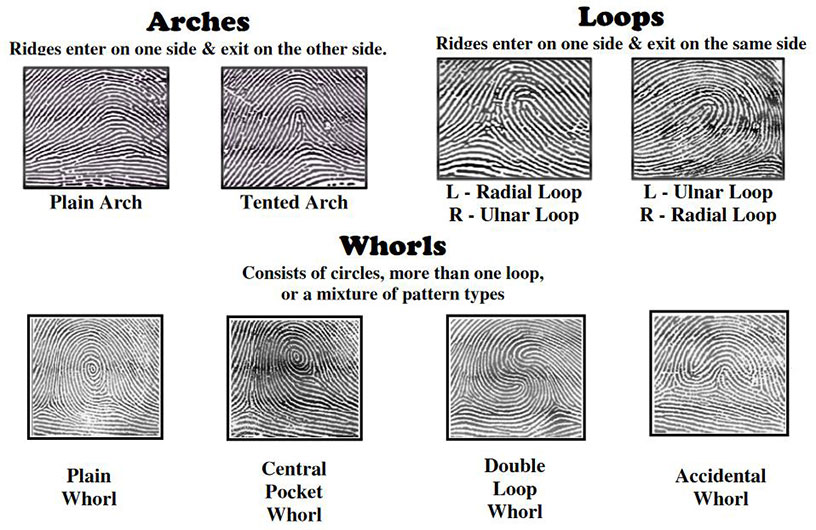 Forensics - Wiki - Scioly.org