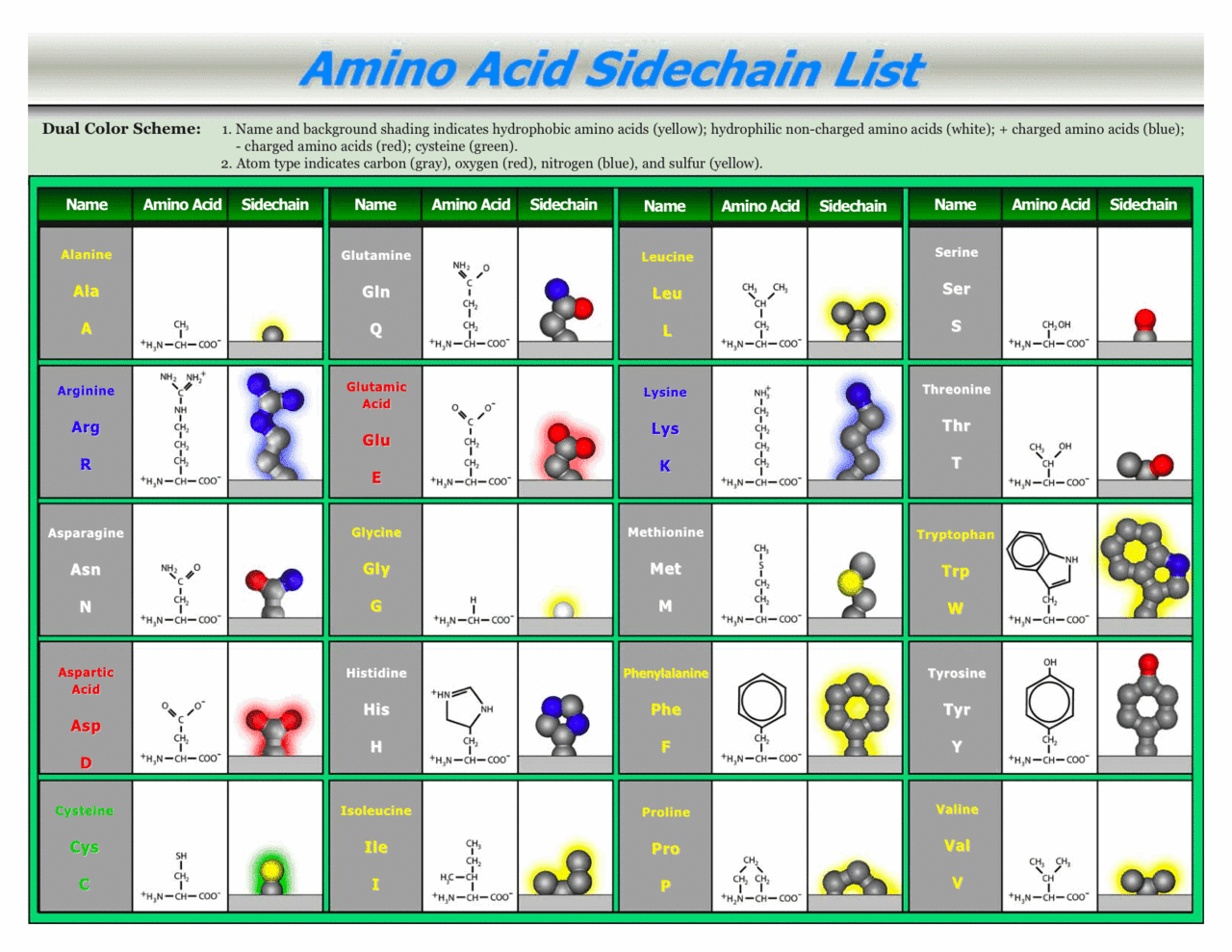 Protein Modeling - Wiki - Scioly.org