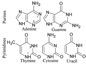Heredity - Wiki - Scioly.org