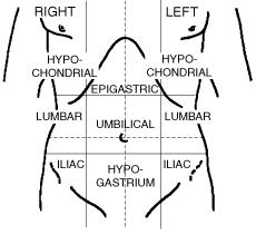 Body Regions Chart