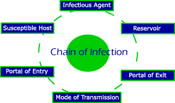 Chainofinfection.jpg